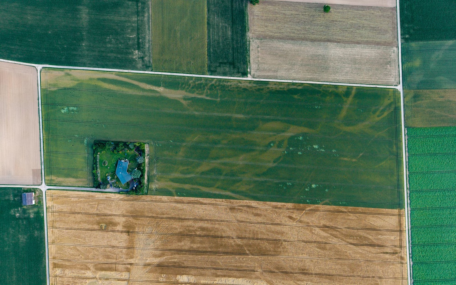1031 From Farmland Into Minerals